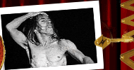 top_polaroid_01_iggypop2.gif